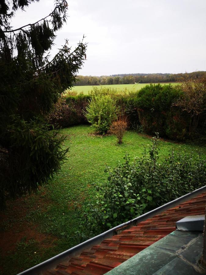 Domaine De La Borde Bed & Breakfast Damparis Екстериор снимка
